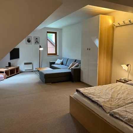 Apartman Rokytnice Nad Jizerou, Modra Hvezda